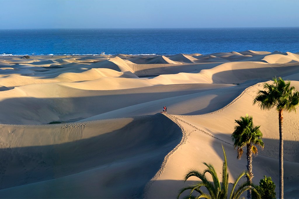 Gran Canaria desde 175€