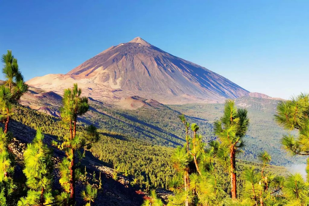 Tenerife desde 203€