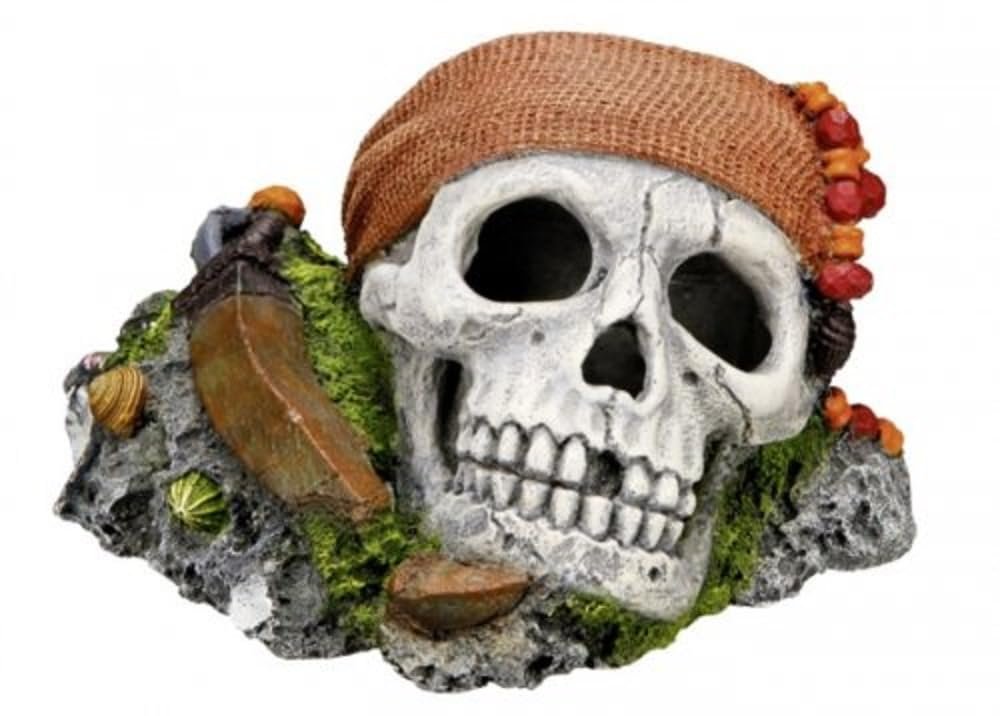 Calavera decorativa con plantas para tu acuario