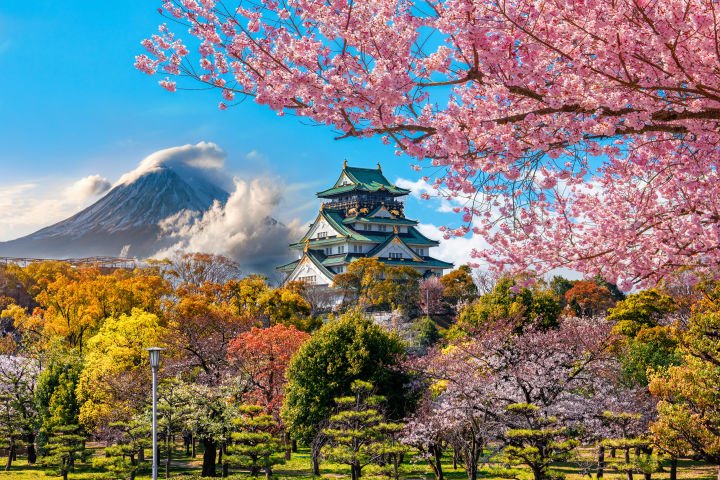 ¡Descubre Japón!