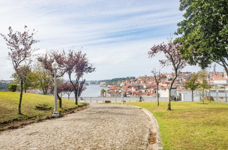 Crucero y cata de vinos en Oporto