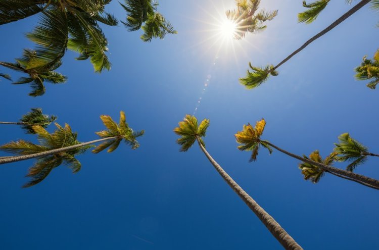 Punta Cana 8 noches 4* todo incluido