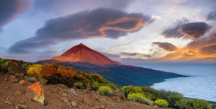 Tenerife al alcance