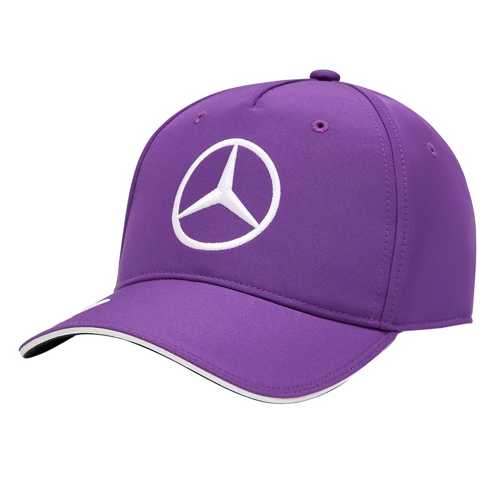 F1 Lewis Hamilton