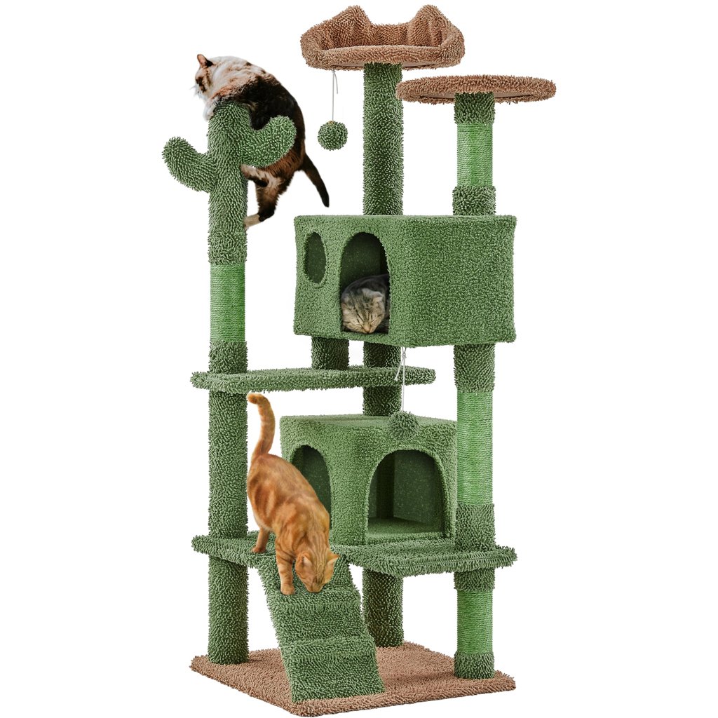 Árbol rascador gato Cactus