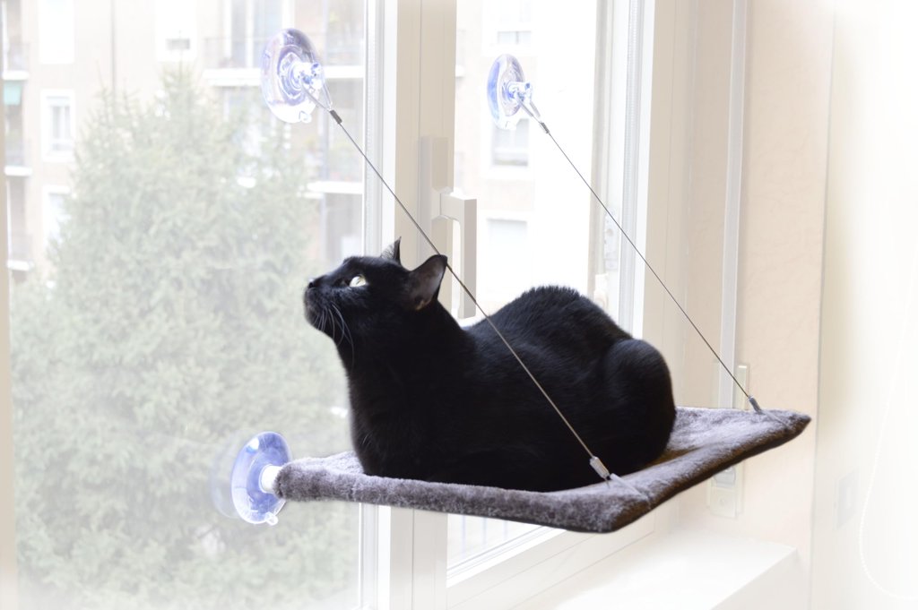 Tumbona para gatos