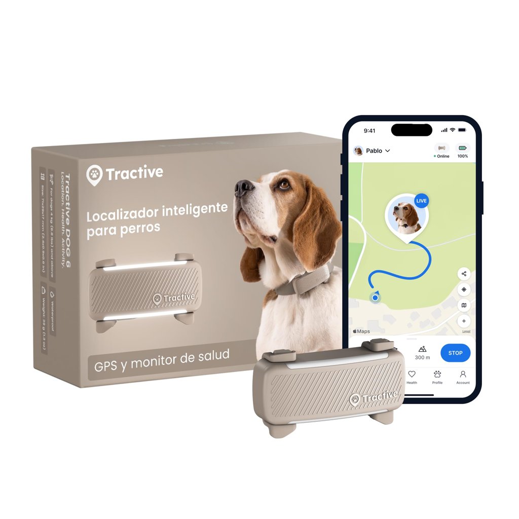 Localiza a tu perro al instante con este GPS en oferta