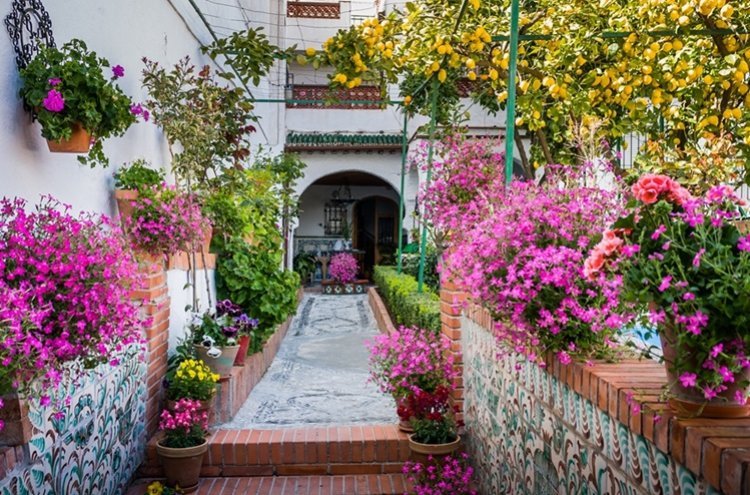 Granada al sol