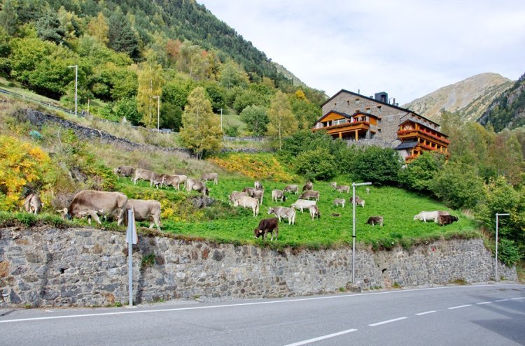 Escapada 4* en Andorra