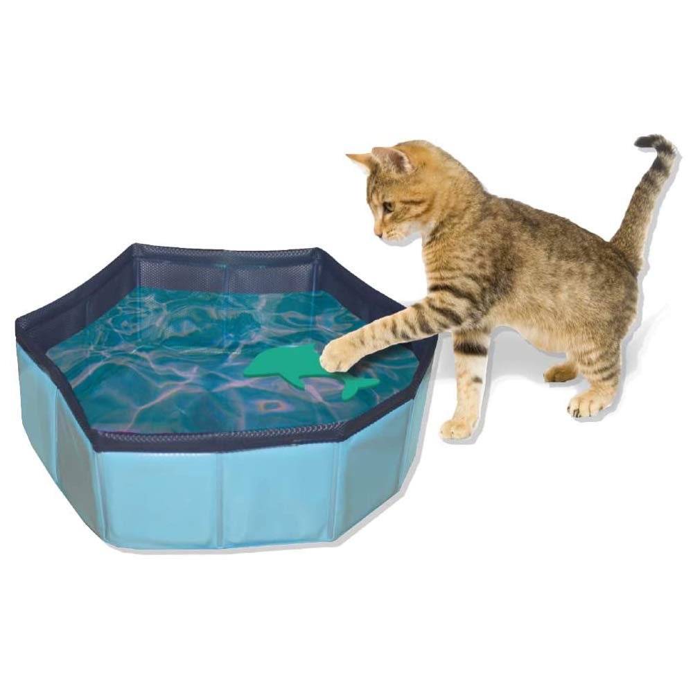 Piscina plegable para gatos