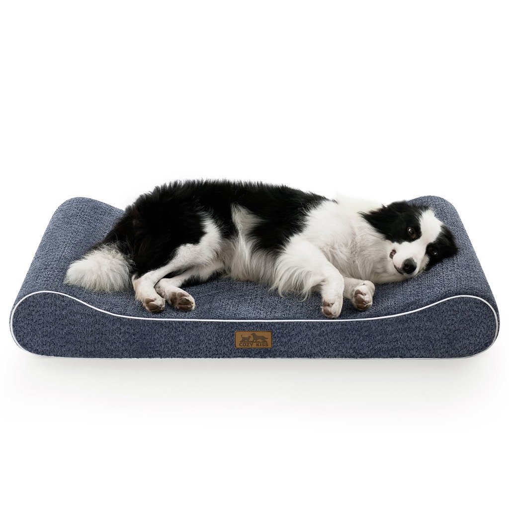 Cama gigante para perros: lavable e impermeable por 35€