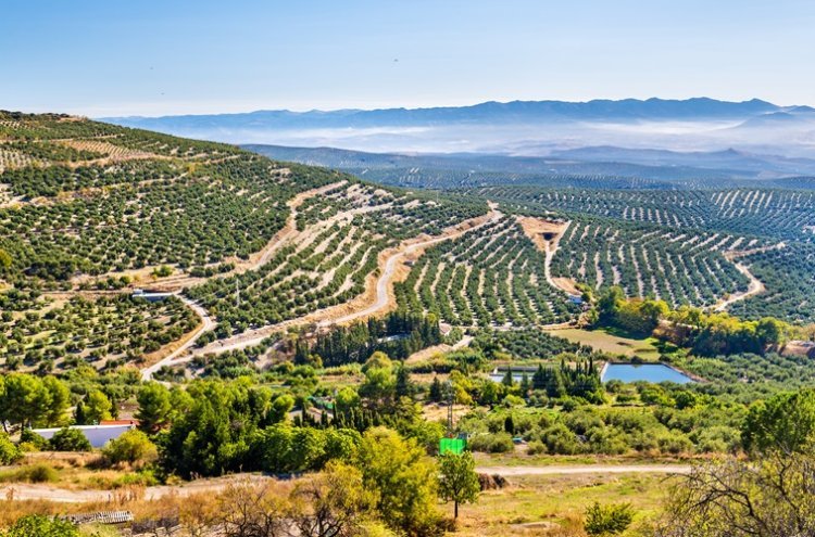 Escapada a Úbeda 4* con desayuno, piscina y spa opcional