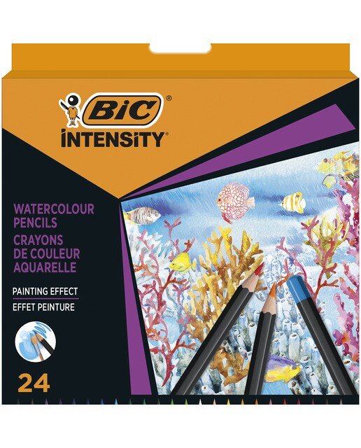 Lápices acuareables BIC