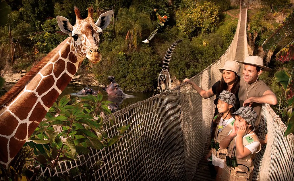 ¡TU AVENTURA ANIMAL EN MÁLAGA! Elige Selwo Marina o Aventura y alójate en HOTEL 4*+DESAYUNO a 20 min de los pa