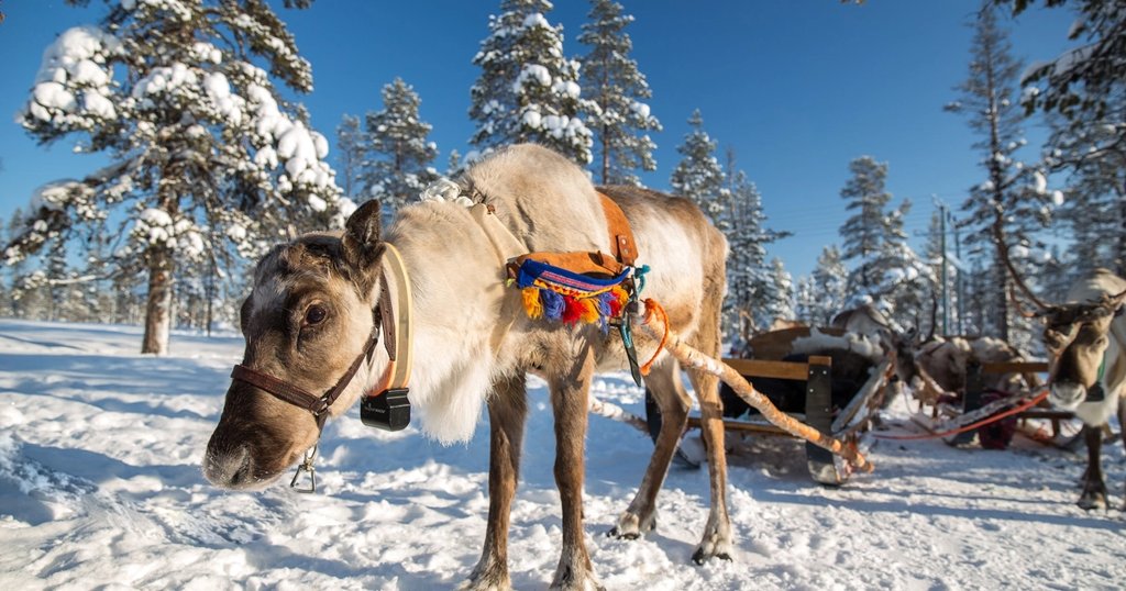 Vuelos a Rovaniemi desde 66€: Laponia en noviembre