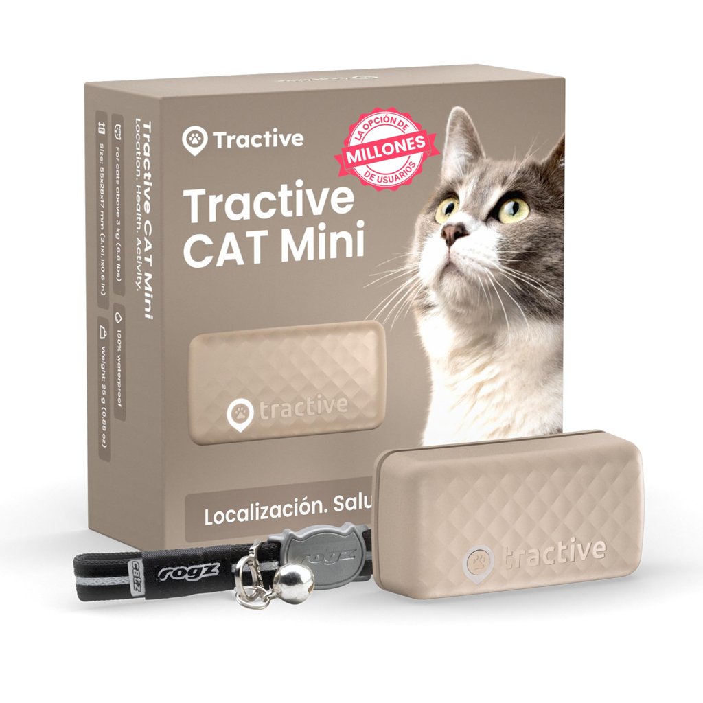 ¡Localiza a tu gato en tiempo real!