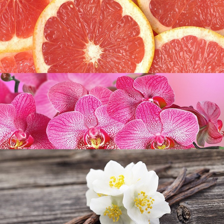 Descubre el perfume CK In2u