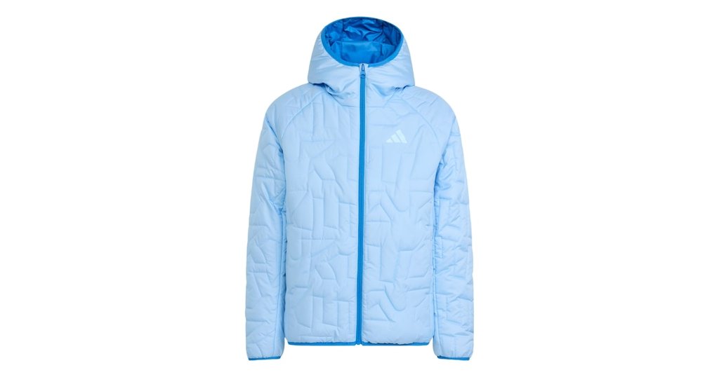 Chaqueta montaña ADIDAS TERREX