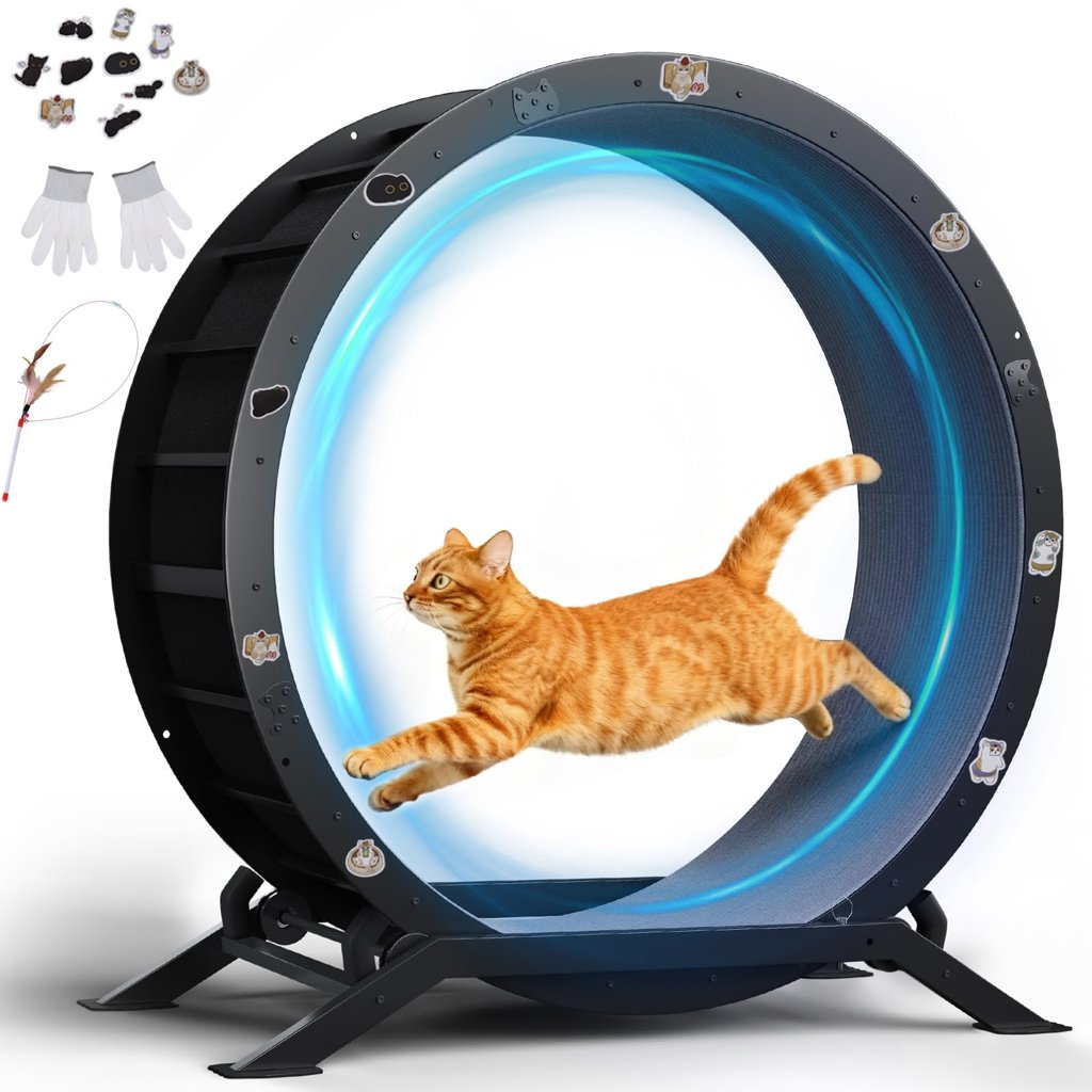 Rueda de ejercicio XL para gatos, ultra silenciosa y con alfombra extraíble