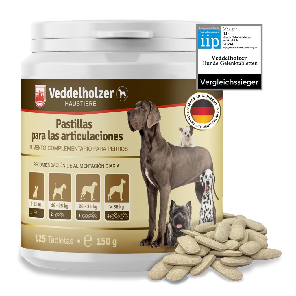 Chollo para perros