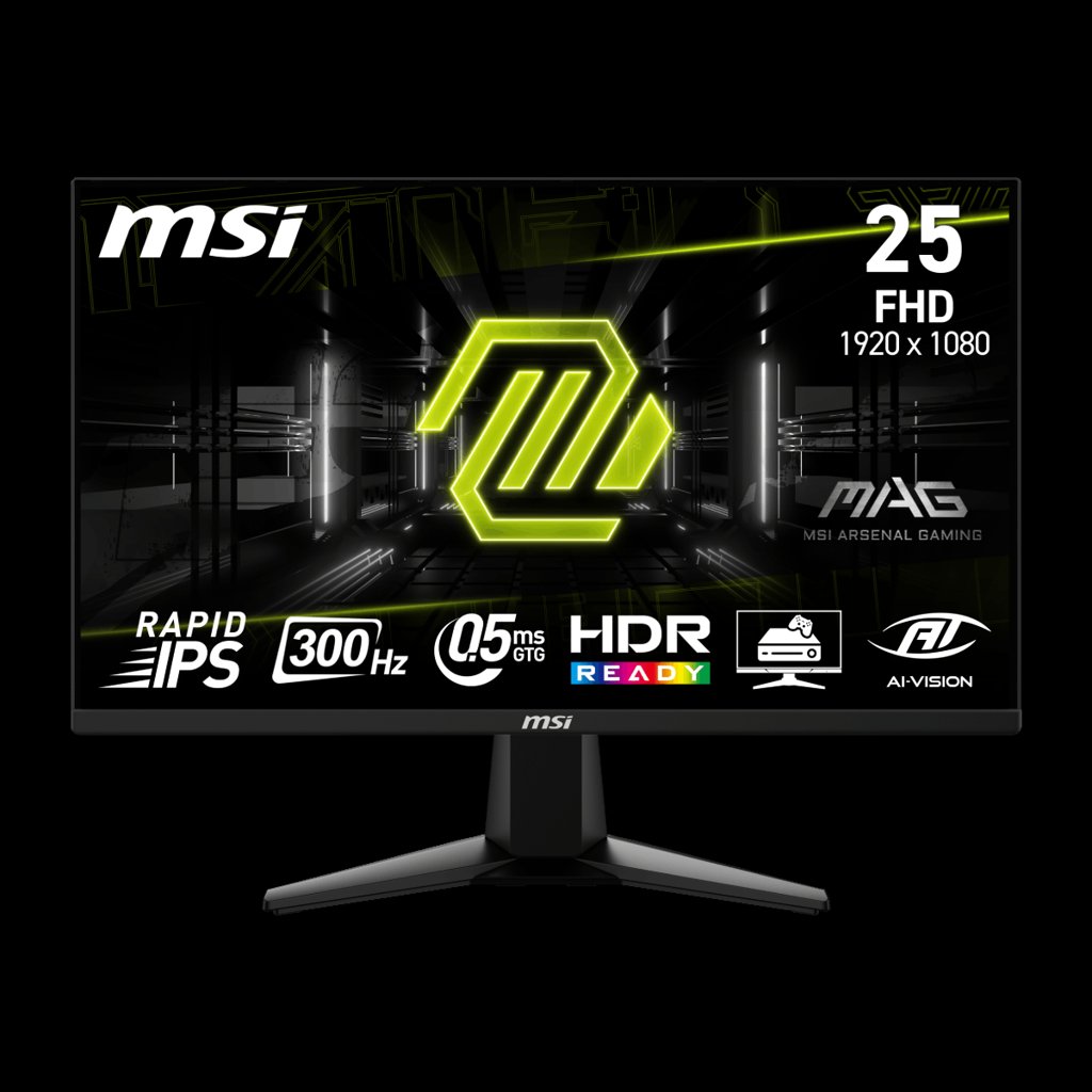 Monitor Gaming MSI 24.5'' 300Hz