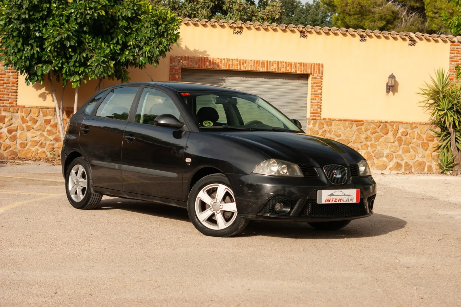 Seat IBIZA 1.9 TDI 100 CV STYLANCE