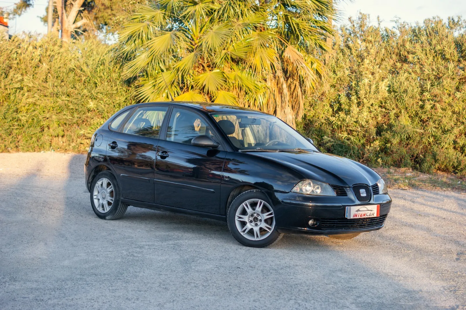 Seat Ibiza 1.4 TDI 70cv Reference