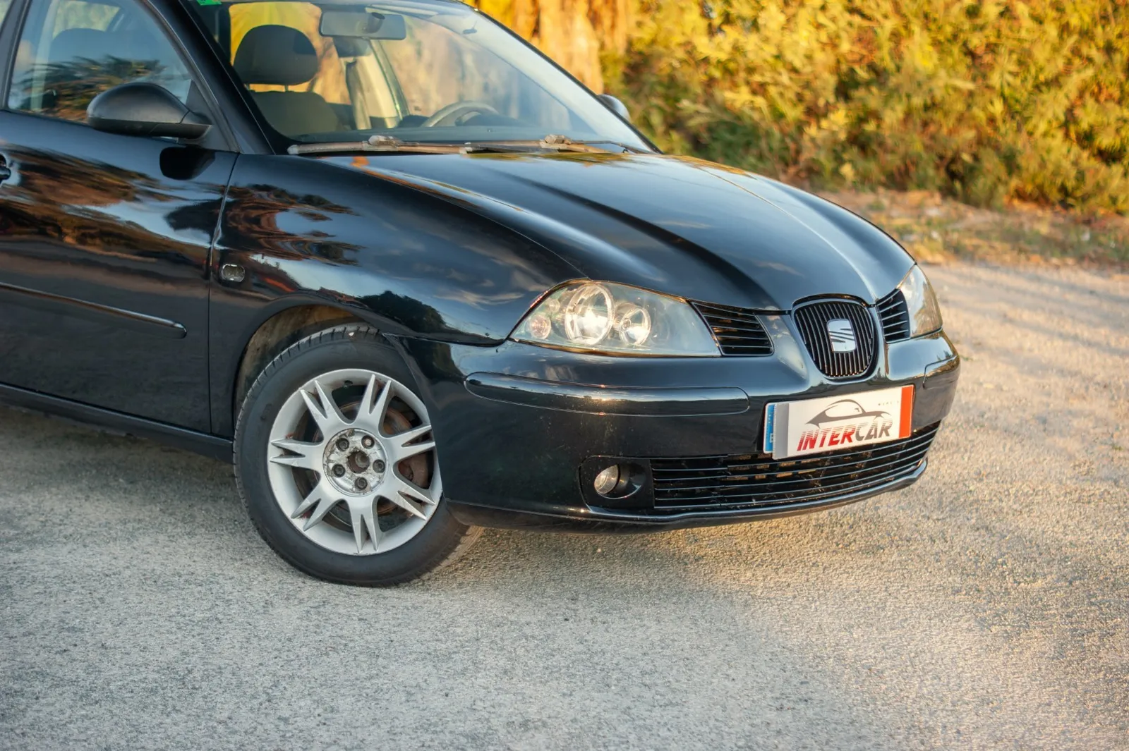 Seat Ibiza 1.4 TDI 70cv Reference, foto 1