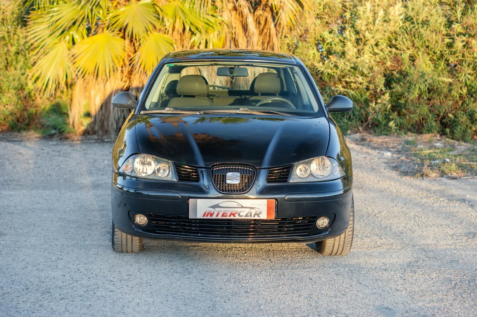 Seat Ibiza 1.4 TDI 70cv Reference, foto 2