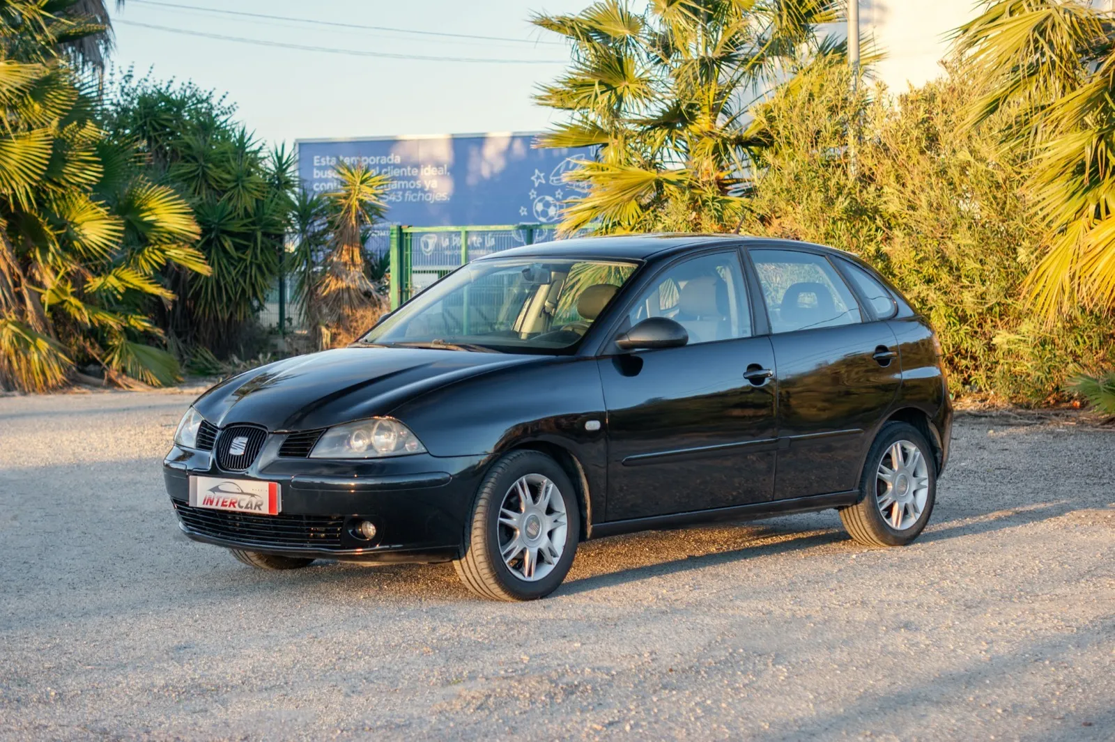 Seat Ibiza 1.4 TDI 70cv Reference, foto 3