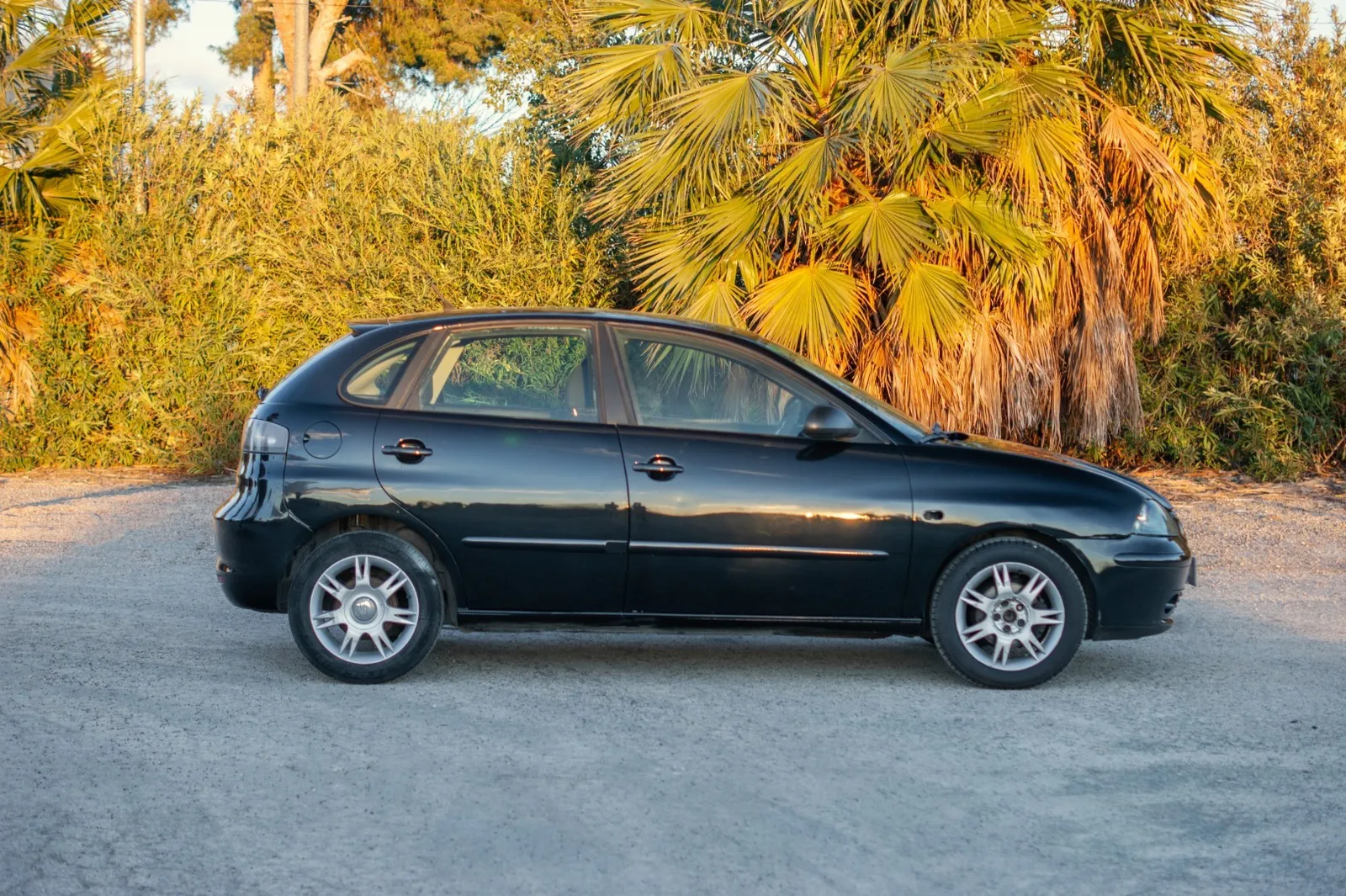 Seat Ibiza 1.4 TDI 70cv Reference, foto 4