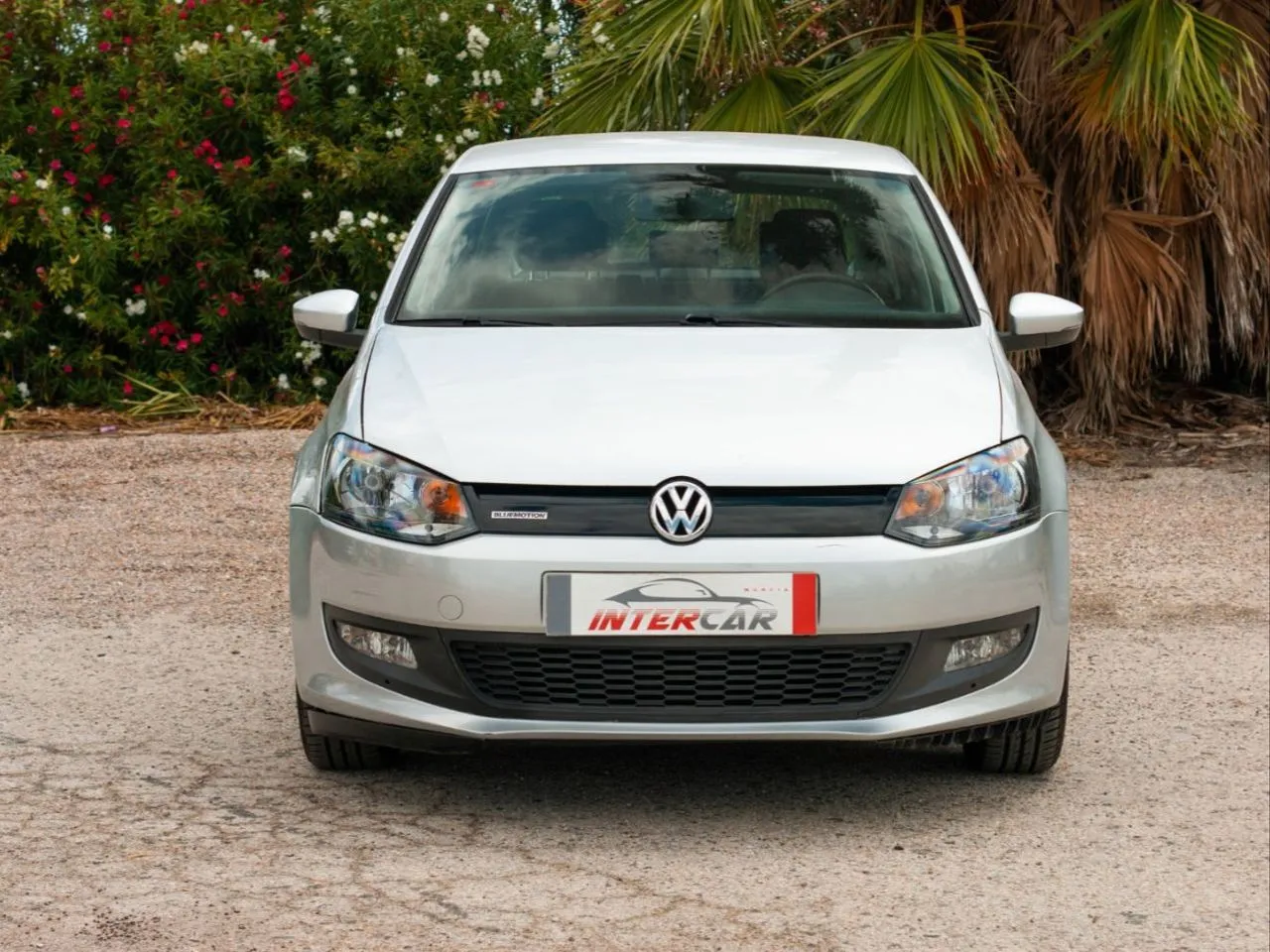 VOLKSWAGEN Polo 1.2 TDI 75cv Advance, foto 2