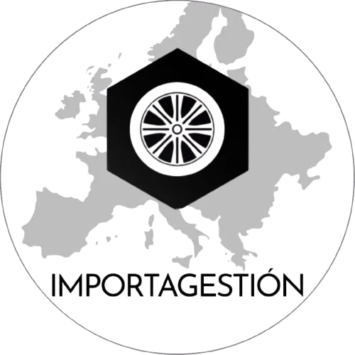 Logo de IMPORTAGESTION