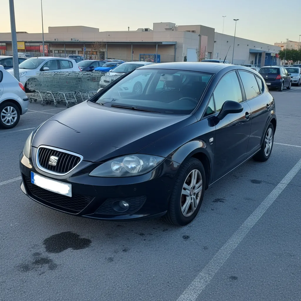 SEAT Leon 2010