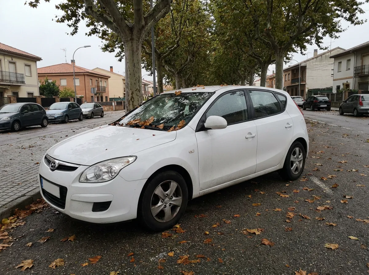 Hyundai i30 1.0 TGDI N Line 30 Aniversario