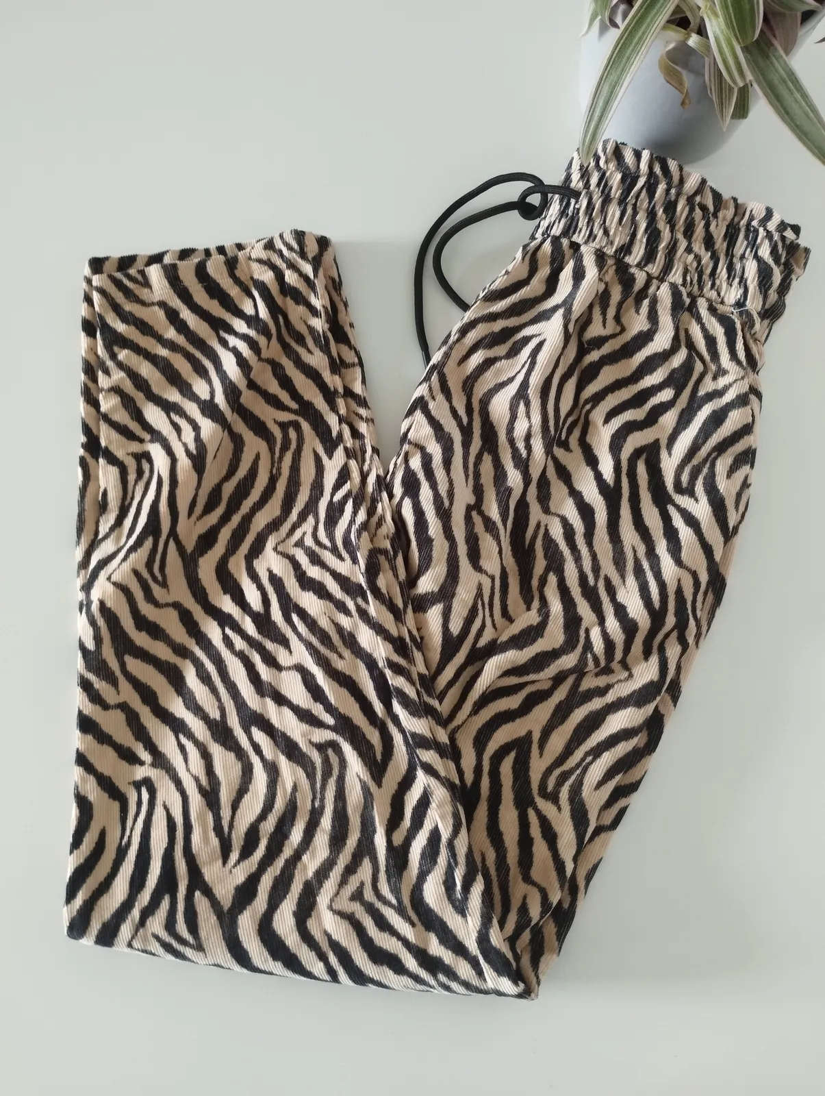 🥯 Pantalón Recto Zara Pana Fina - Beige y Negro - Talla XS