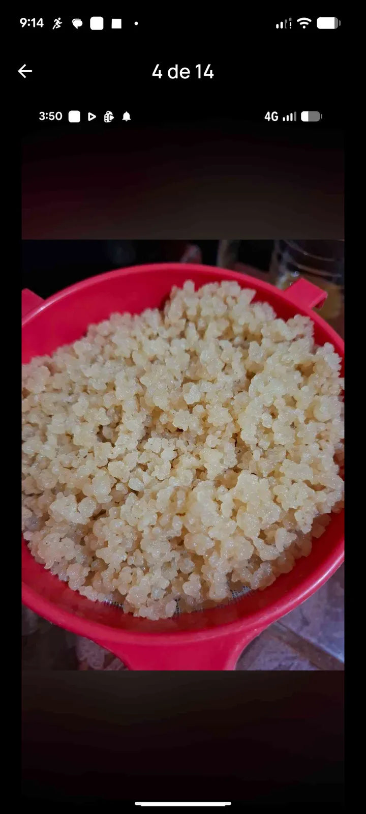 tibicos de agua organicos naturales