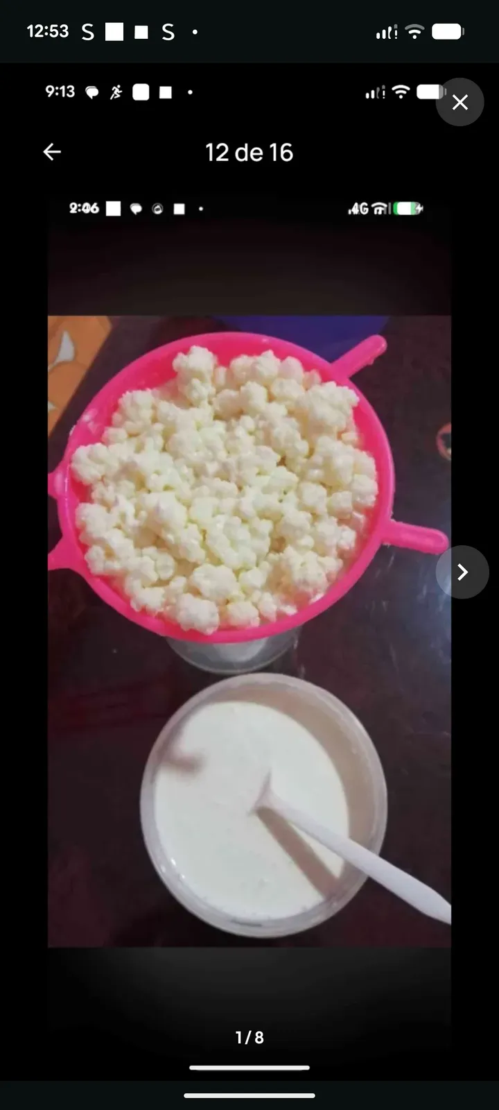 porciones bulgaros de leche