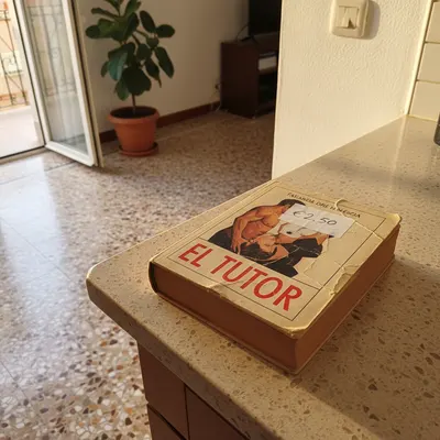 El Tutor una novela romántico-erótica