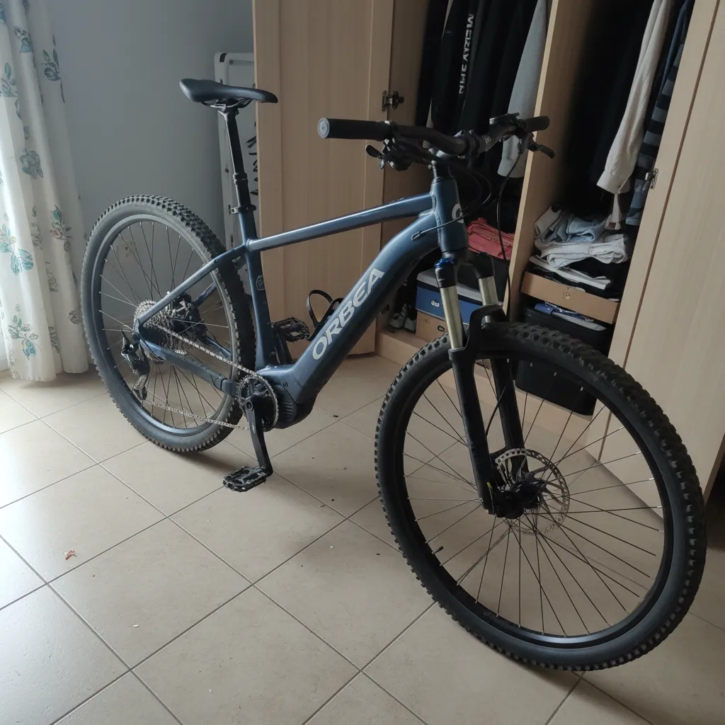 Bicicleta Orbea Wild t.M Reacondicionada