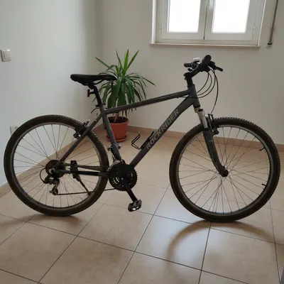 Bicicleta MTB Travesía Expl 50 Gris Oscuro