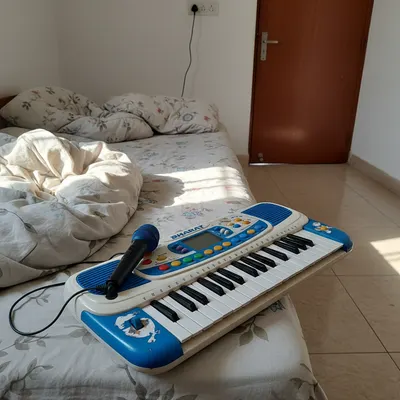 Teclado Musical Infantil Bharat con Micrófono