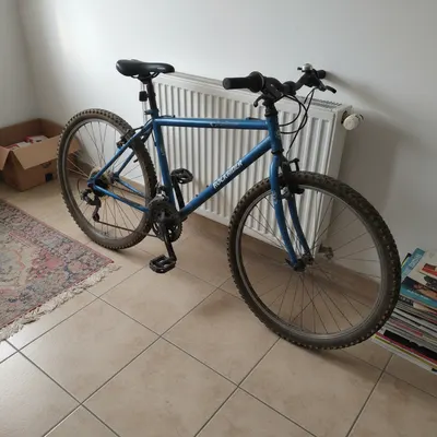 Bicicleta Montaña Rockrider 24