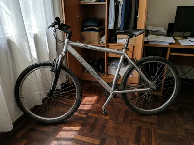 Bicicleta MTB Boomerang Plata