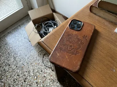 Funda iPhone 13 Pro Max Dragón