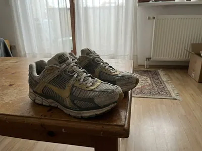 Nike Vomero 5 Gris Dorado