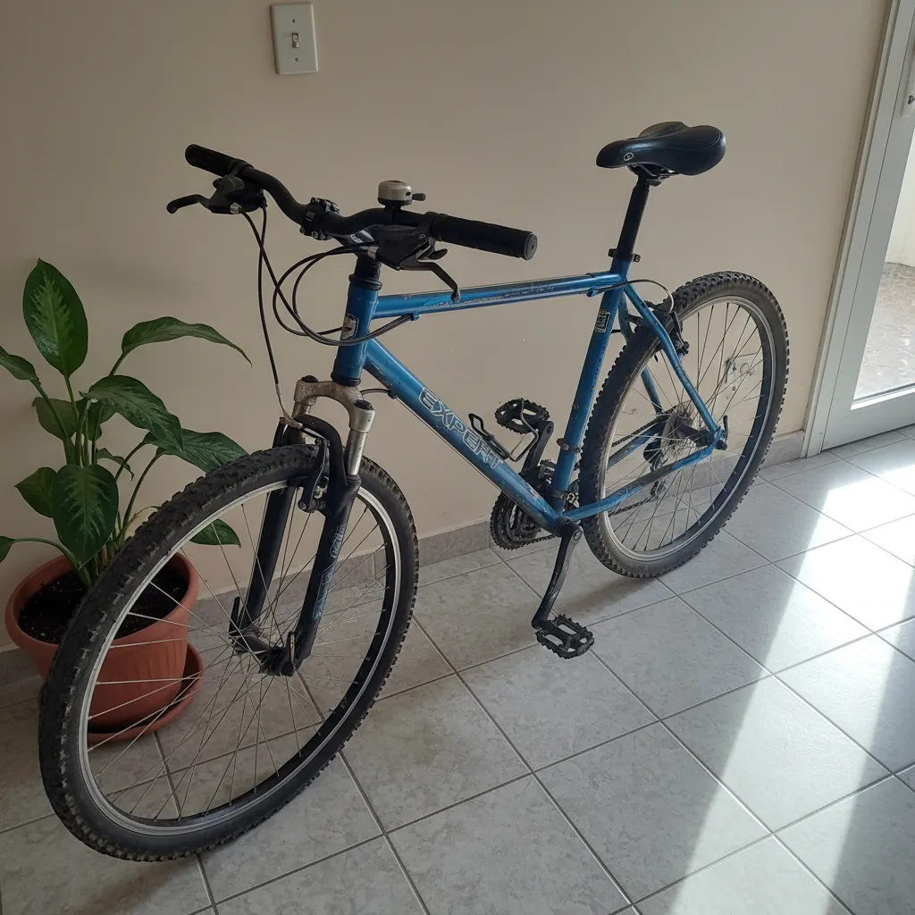 Bicicleta Montaña (MTB),está casi nueva, poco uso.
