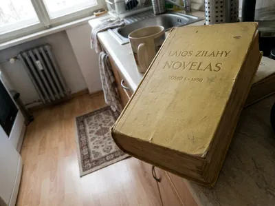 Lajos Zilahy - Novelas. Tomo I